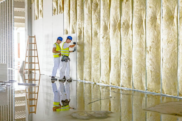 Best Crawl Space Insulation  in Silver Lakes, CA